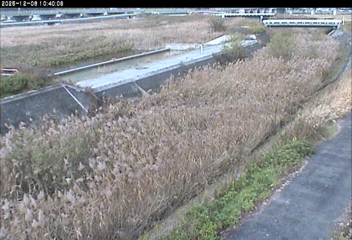 砂田川放水路１2025/12/08 11:30:00