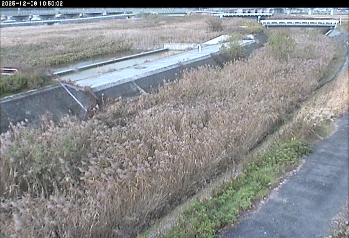 砂田川放水路１2025/12/08 11:30:00