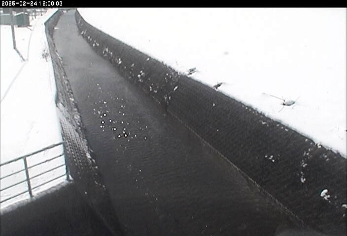 清水川１2026/02/25 2:40:00