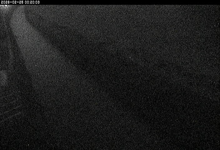 清水川１2026/02/25 2:40:00