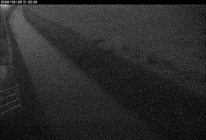 清水川１2026/02/25 2:40:00