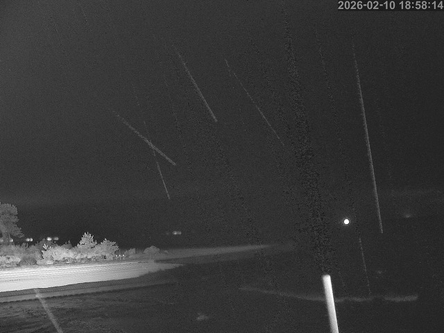 佐陀川１2026/02/11 11:10:00