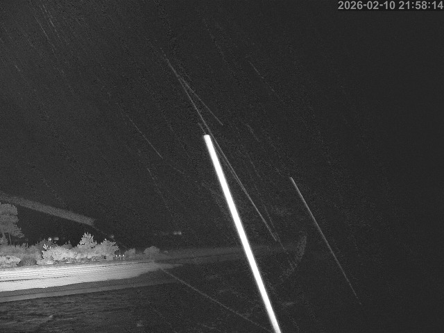 佐陀川１2026/02/11 11:10:00