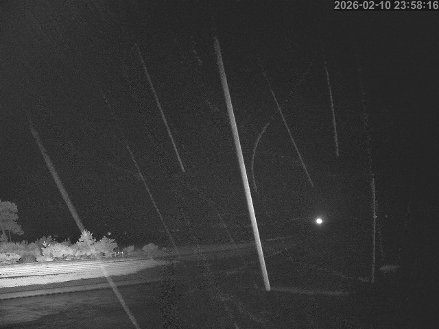 佐陀川１2026/02/11 11:10:00