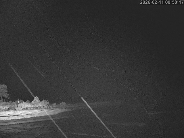 佐陀川１2026/02/11 11:10:00