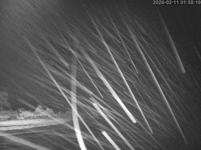 佐陀川１2026/02/11 11:10:00