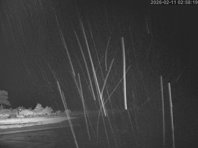 佐陀川１2026/02/11 11:10:00