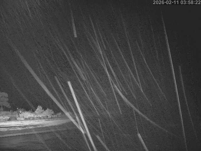 佐陀川１2026/02/11 11:10:00