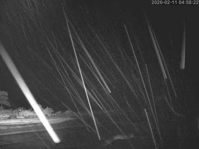 佐陀川１2026/02/11 11:10:00