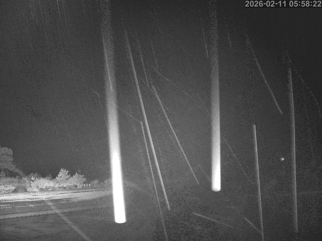 佐陀川１2026/02/11 11:10:00