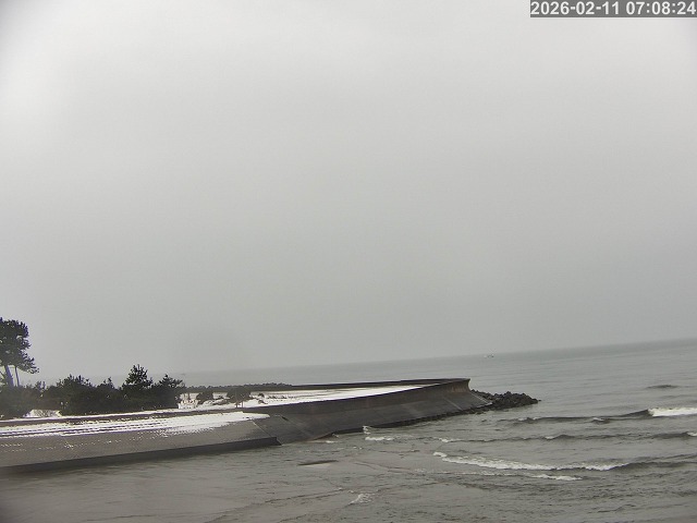 佐陀川１2026/02/11 11:10:00