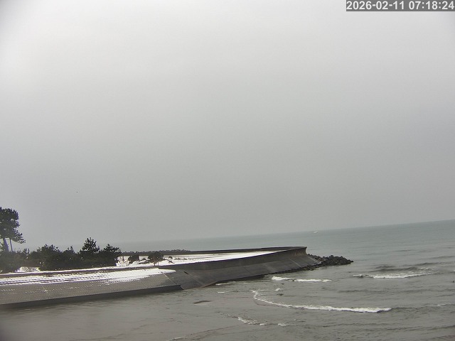 佐陀川１2026/02/11 11:10:00