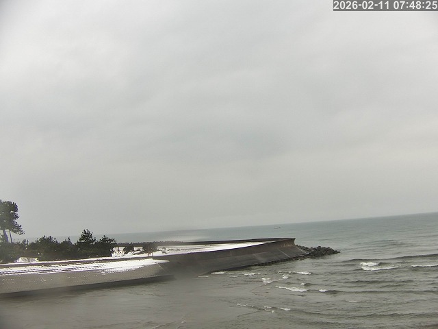 佐陀川１2026/02/11 11:10:00