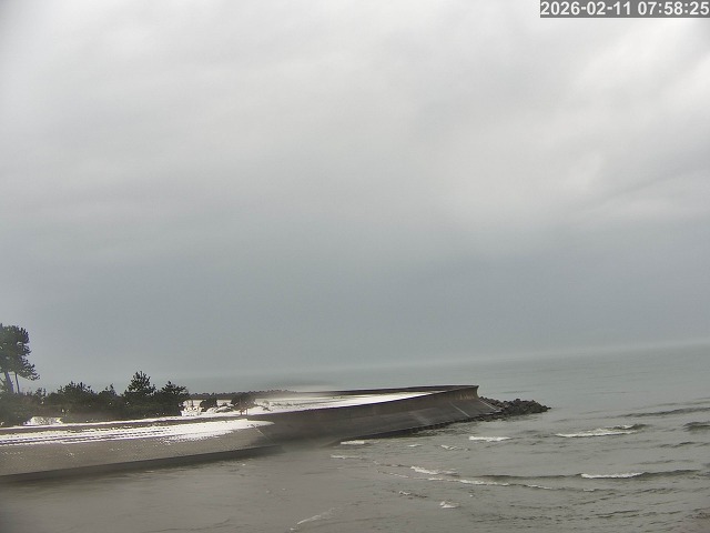 佐陀川１2026/02/11 11:10:00