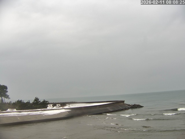 佐陀川１2026/02/11 11:10:00