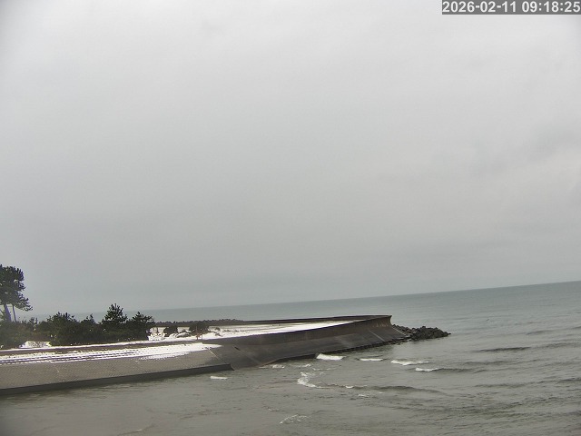 佐陀川１2026/02/11 11:10:00