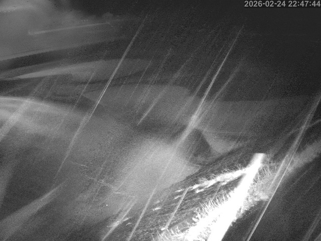 佐陀川１2026/02/25 2:30:00