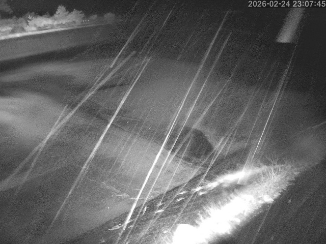 佐陀川１2026/02/25 2:30:00