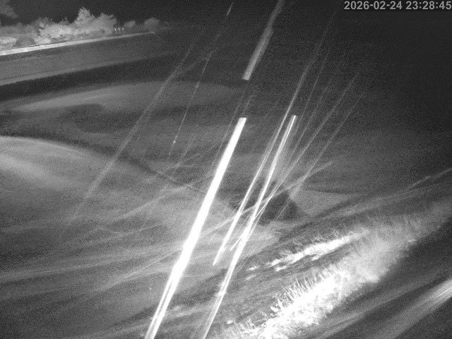 佐陀川１2026/02/25 2:30:00