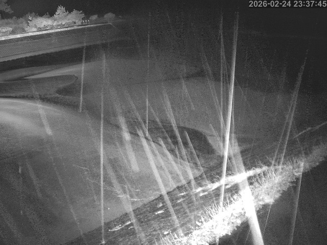 佐陀川１2026/02/25 2:30:00