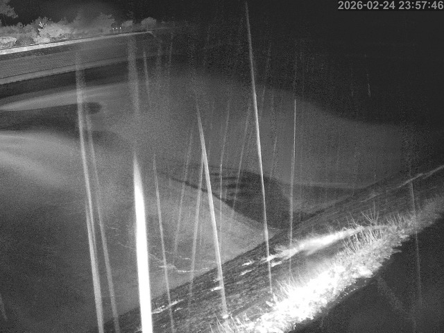 佐陀川１2026/02/25 2:30:00