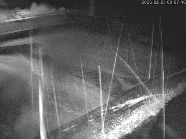 佐陀川１2026/02/25 2:30:00