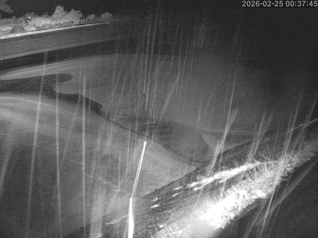 佐陀川１2026/02/25 2:30:00