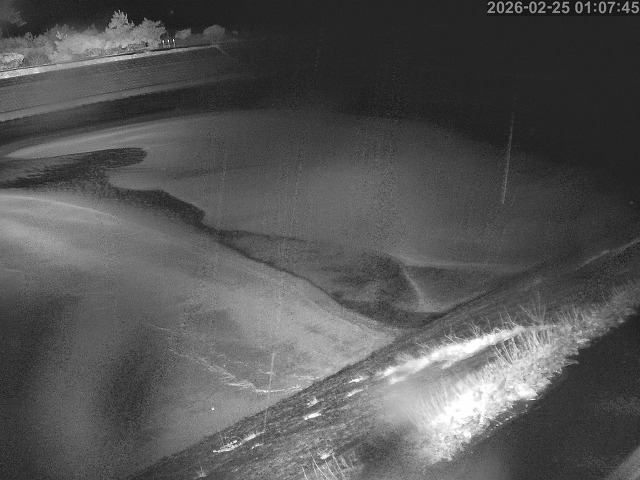 佐陀川１2026/02/25 2:30:00