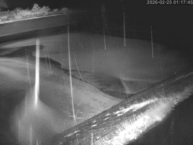 佐陀川１2026/02/25 2:30:00