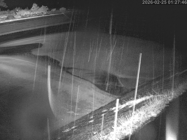 佐陀川１2026/02/25 2:30:00