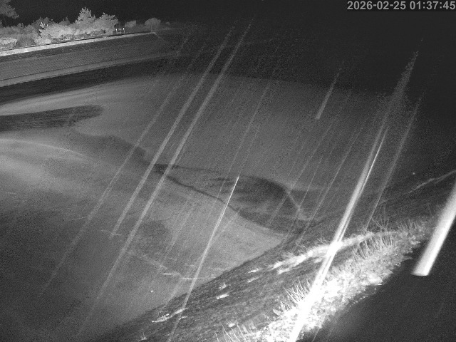 佐陀川１2026/02/25 2:30:00