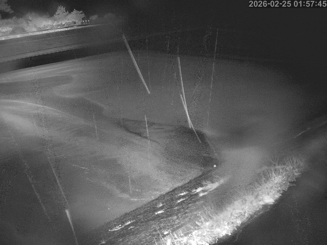 佐陀川１2026/02/25 2:30:00