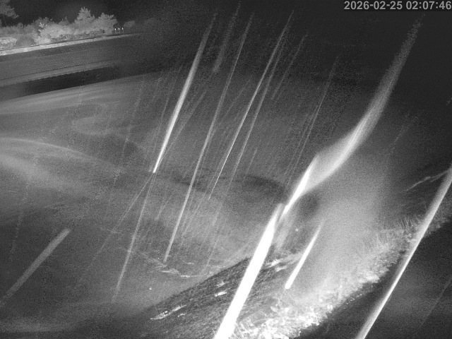 佐陀川１2026/02/25 2:30:00