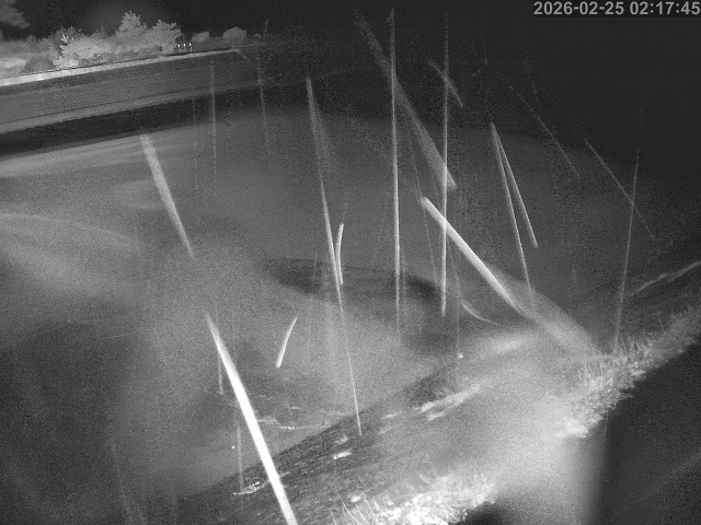 佐陀川１2026/02/25 2:30:00