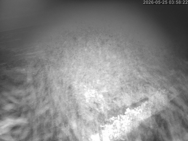 佐陀川１2026/05/25 21:30:00
