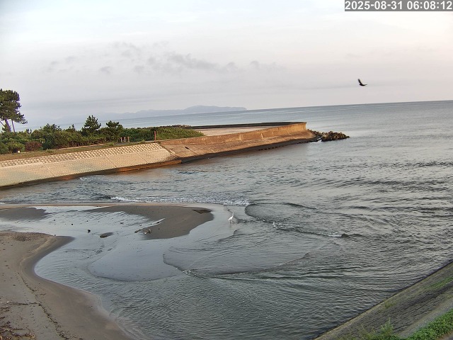 佐陀川１2025/08/31 9:10:00