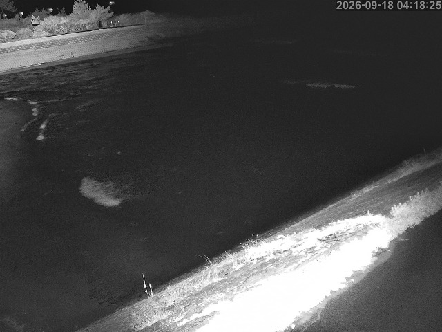 佐陀川１2026/09/18 7:50:00