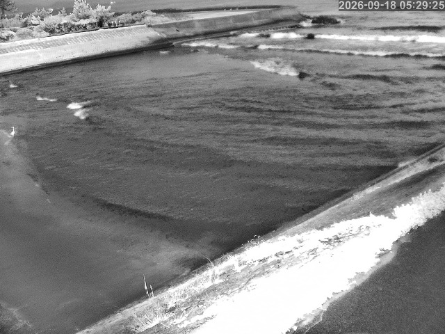 佐陀川１2026/09/18 7:50:00