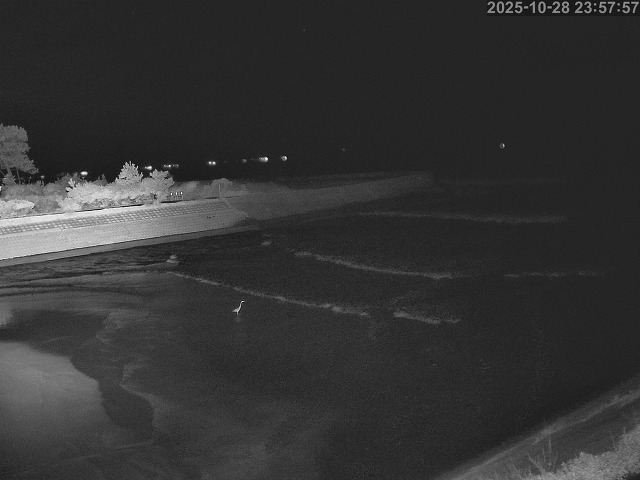 佐陀川12025/10/29 12:10:00