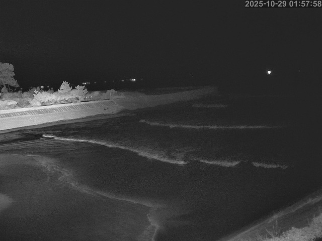 佐陀川12025/10/29 12:10:00