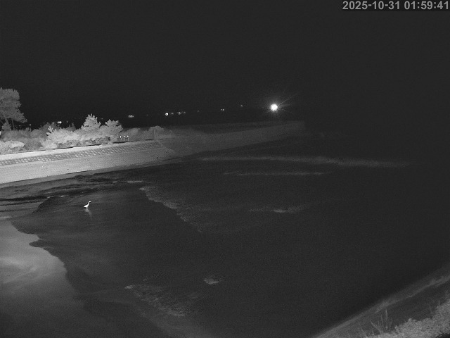 佐陀川12025/10/31 07:50