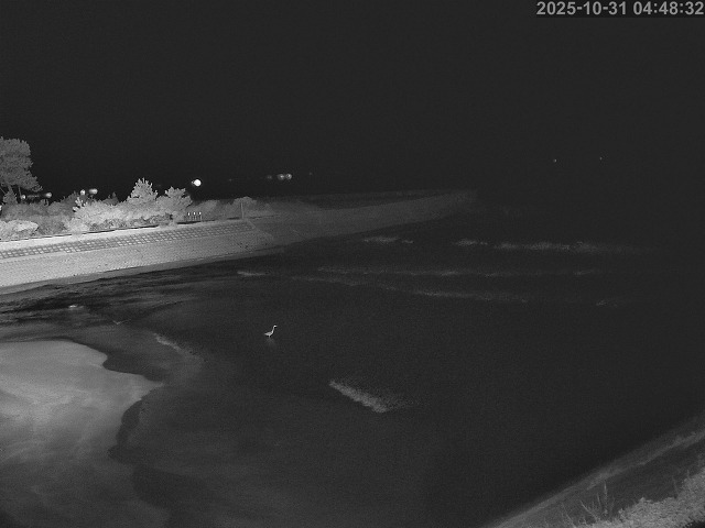 佐陀川12025/10/31 07:50