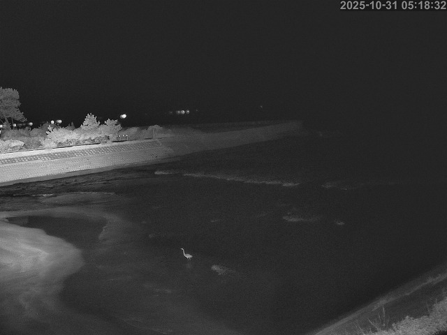 佐陀川12025/10/31 07:50