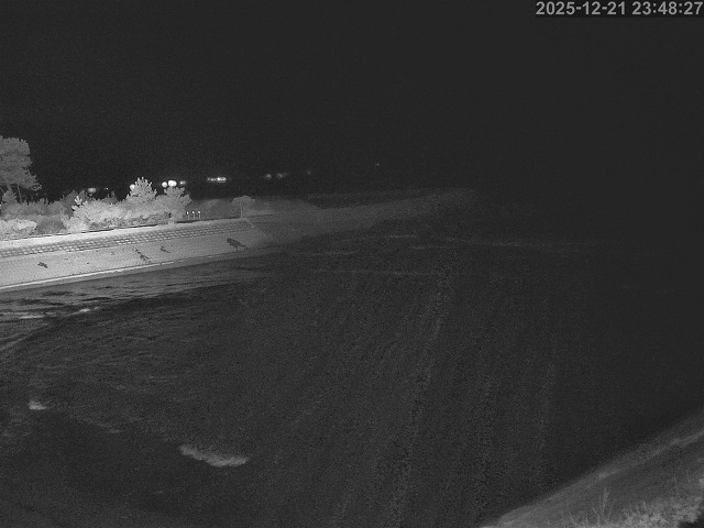 佐陀川１2025/12/22 1:00:00