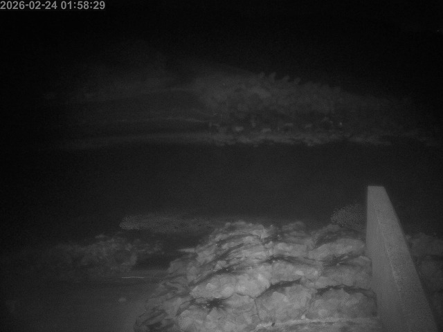 下市川１2026/02/25 2:40:00