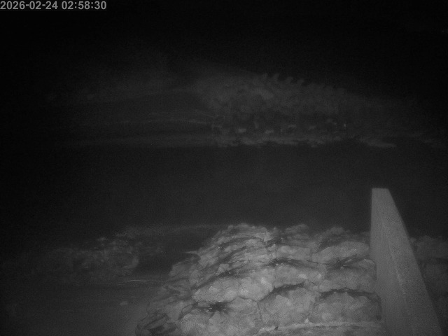 下市川１2026/02/25 2:40:00