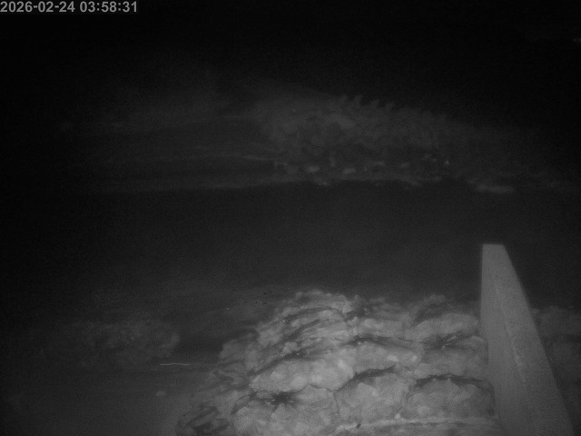 下市川１2026/02/25 2:40:00