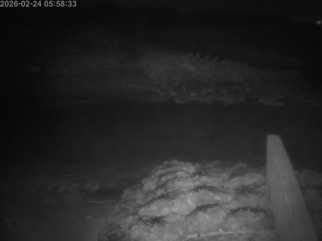 下市川１2026/02/25 2:40:00