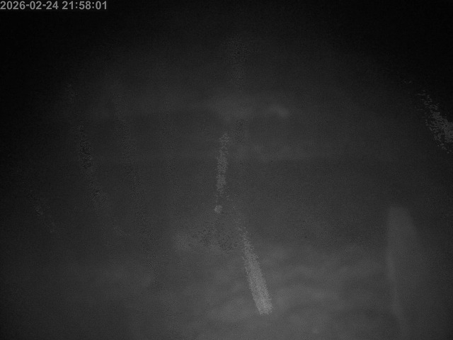 下市川１2026/02/25 2:40:00