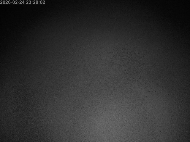 下市川１2026/02/25 2:40:00